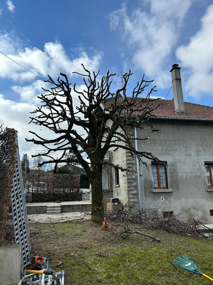 Démontage technique réalisé par Brun Élagage en Haute-Savoie